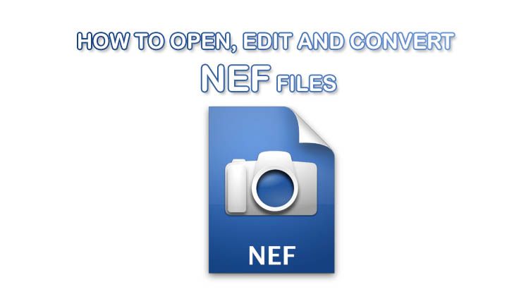 How To Open Edit And Convert Nef Files Dm Productions